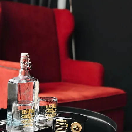 酒店 房间和房客设计酒店 3*