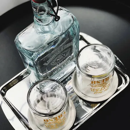 酒店 房间和房客设计酒店 3*
